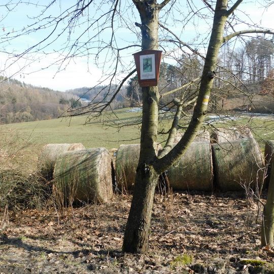 13. zastavení křížové cesty Ondřejov - Kaliště