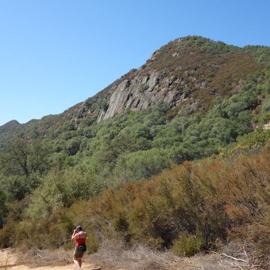 Stebbins Cold Canyon Reserve