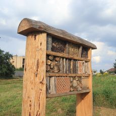 Hmyzí hotel v ulici Karoliny Světlé