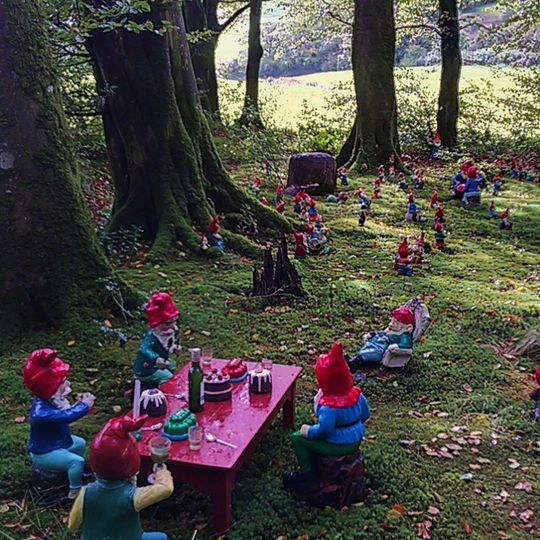 Gnome Reserve