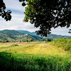 Area naturale protetta di interesse locale Il Bottaccio