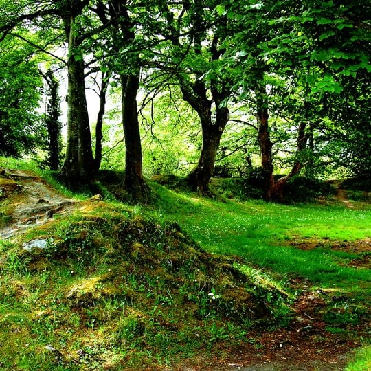 Ballyallaban ringfort