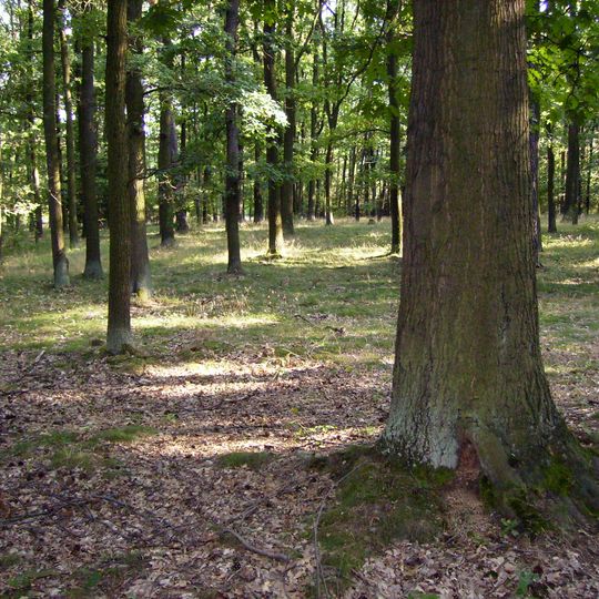 Nature park Klánovice-Čihadla