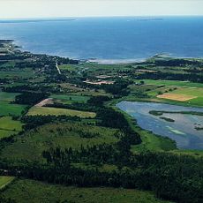 Paviken