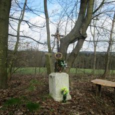 Kříž severně od Pelhřimova u lesíka