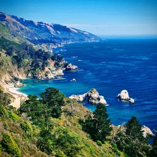 Julia Pfieffer Burns Vista Point