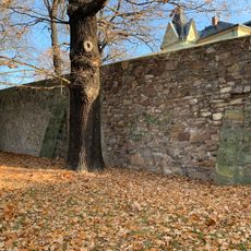 Mauerreste einer Burganlage Karrasstraße 4 (hinter)