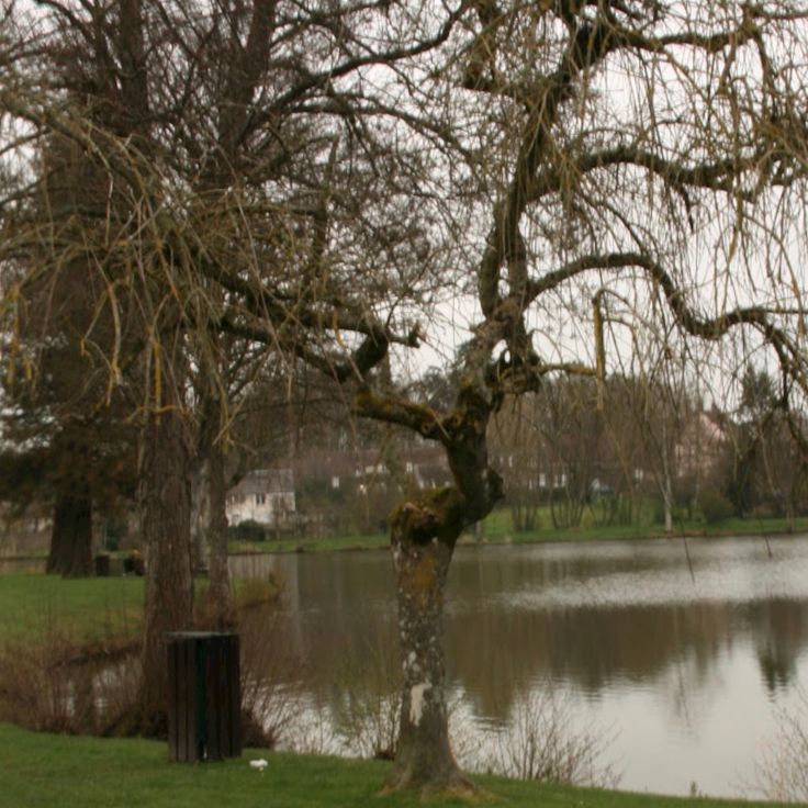 Plan d'eau Arthur Remy