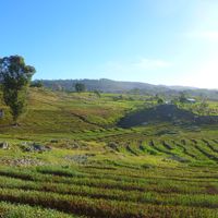 Departament Południowo-Wschodni