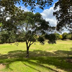 Fairall Park