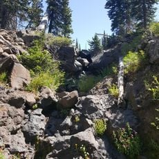 Brower's Spring