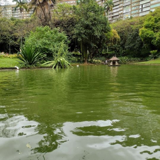 Lago do Parque Guinle