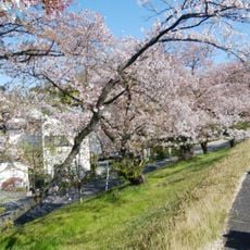 Yadagawabashi Ryokuchi