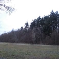 Dřínová