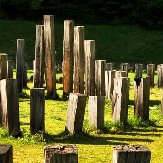 Distretto di Hunedoara