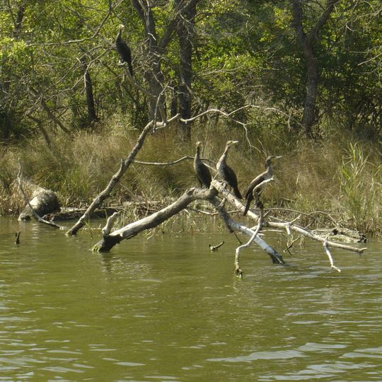 Ropotamo