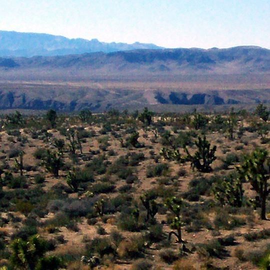 Beaver Dam Wash National Conservation Area