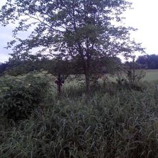 Kříž jihovýchodně od Nové Vsi