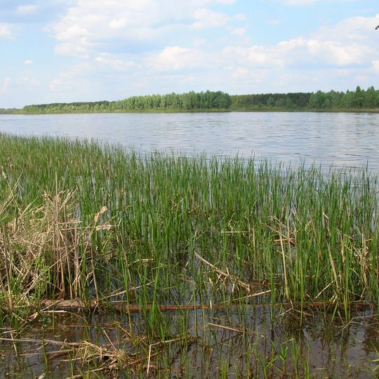 Pinsk Marshes