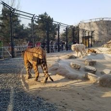 Beijing Wildlife Park