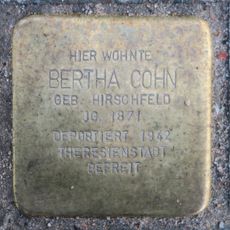Stolperstein dedicated to Bertha Cohn