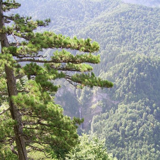 Parco nazionale di Sutjeska