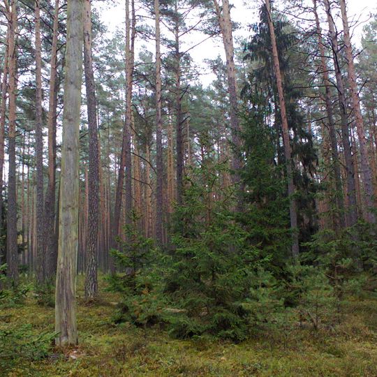 Rezerwat przyrody Ciemny Kąt