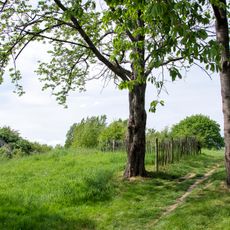 Mottekasteel Hoge Wal