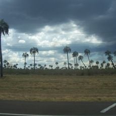 Parc national El Palmar
