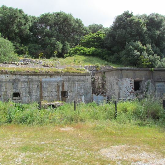 Princess Amelia's Battery