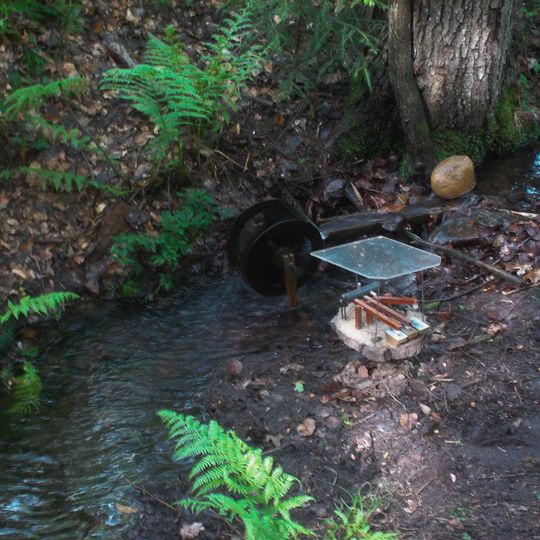 Buchenwaldgebiet Wilthen