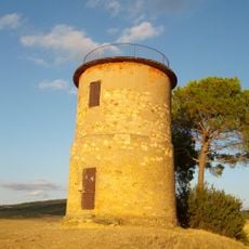 Il Cardellino
