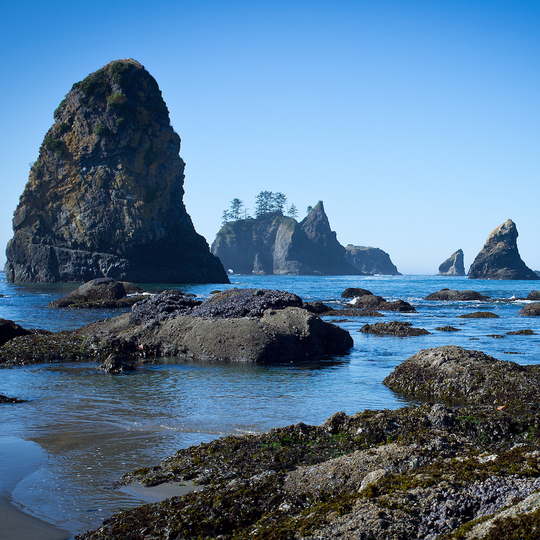 Refuge faunique national Copalis
