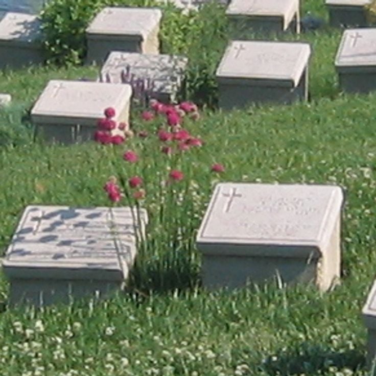 Gelibolu