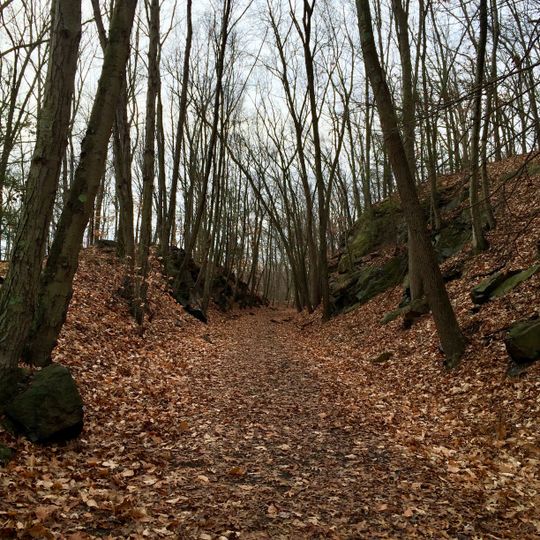 Whittemore Glen State Park
