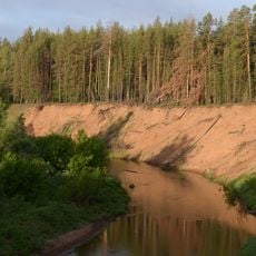 Бузулукский бор