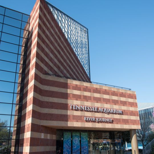 Tennessee Aquarium