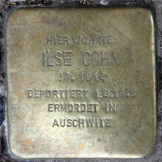 Stolperstein dedicated to Ilse Cohn