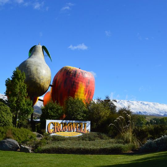 Cromwell Giant Fruit