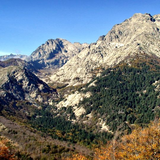 Forêt de Vizzavona