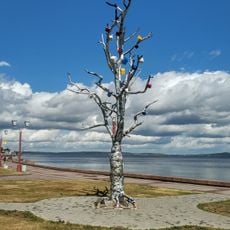 Wish tree (Petrozavodsk)