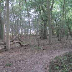 Hardwick Wood