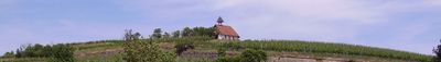 Panoramik Görünüm 1