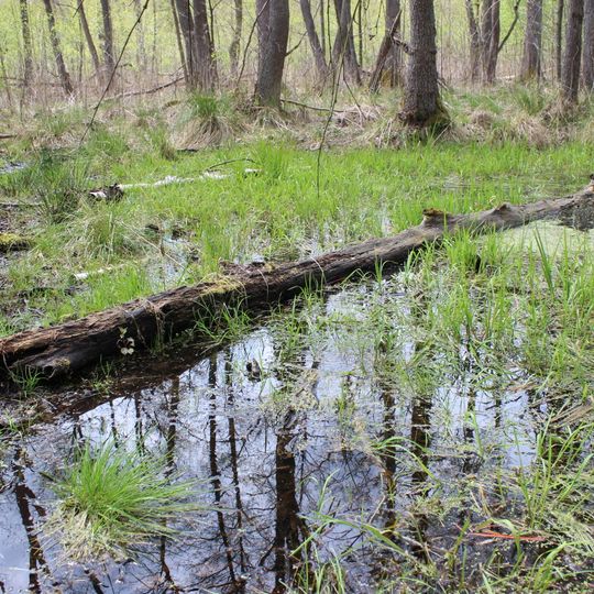 Großes Fürstenwalder Stadtluch