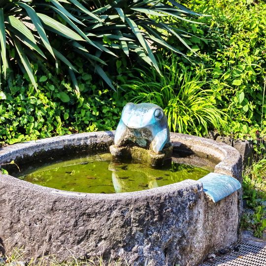 Brunnen mit Frosch