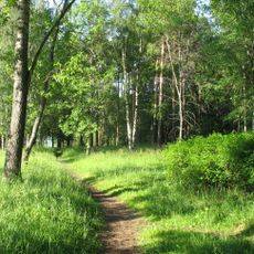 Park of Sevryugov Estate