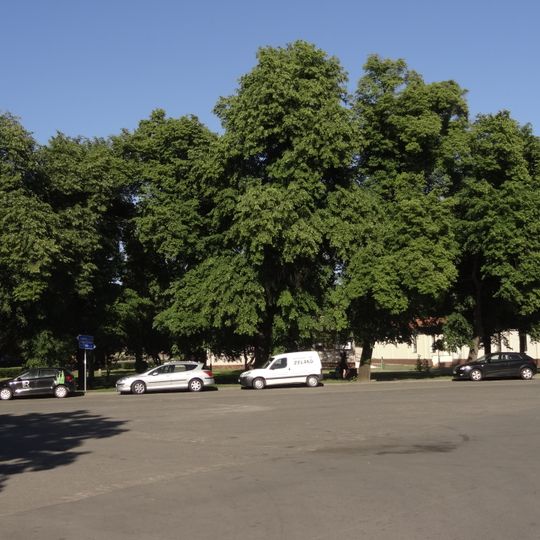 Stromořadí lip malolistých