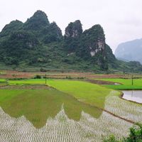 provincia di Cao Bang