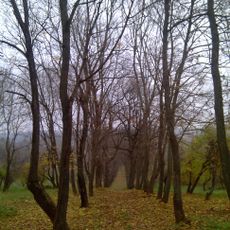 Парк (Николо-Вяземское)