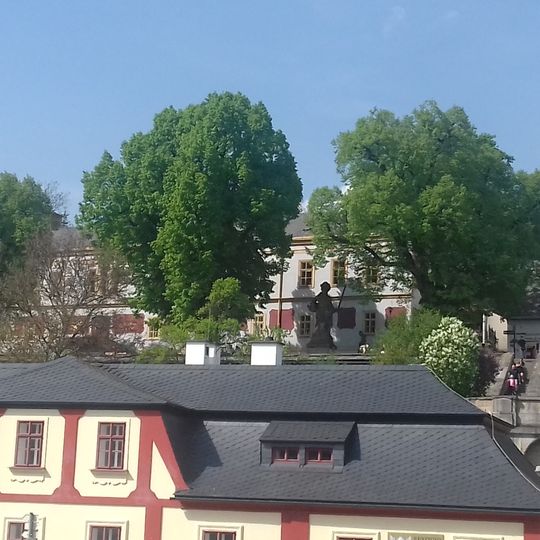 Lípa srdčitá 3 ks